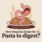 How Long Does It Take For Pasta To Digest