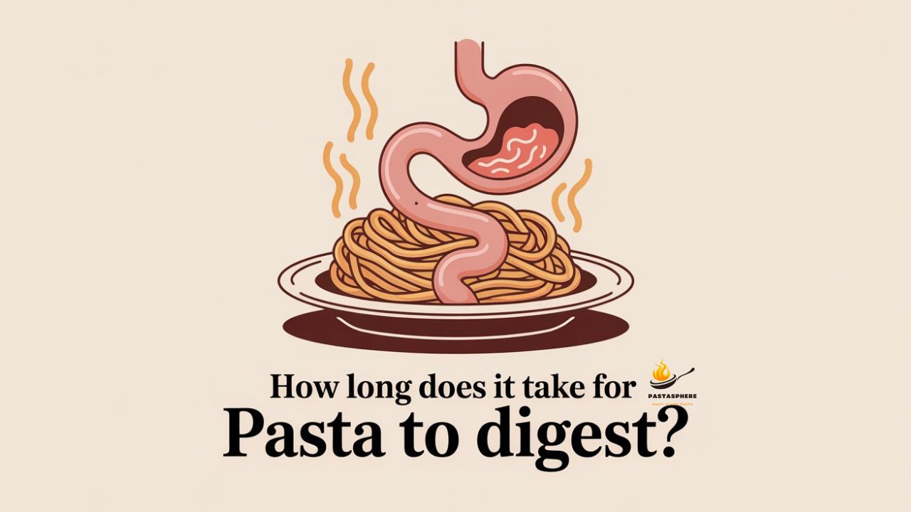 How Long Does It Take For Pasta To Digest