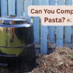 can you compost pasta