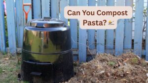 can you compost pasta